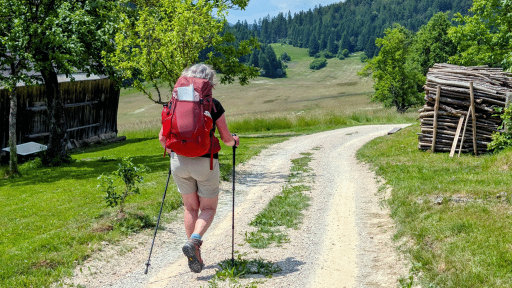 still die wälder und die berge