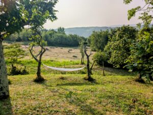 campingplatz pxl 20250611 162901080~2