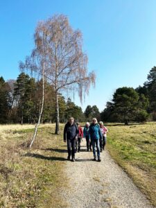 1 unterwegs zum schlangenberg