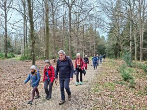 im noch unbelaubten hertogenwald bei raeren