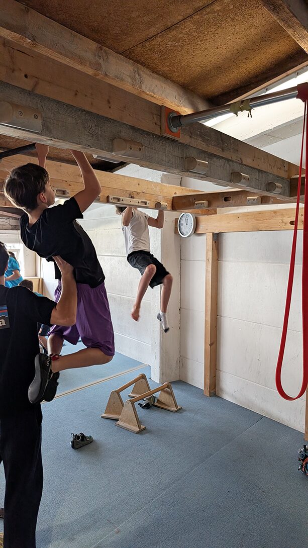 krafttraining (2)